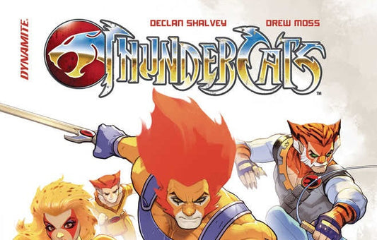 Fun Search - Thundercats