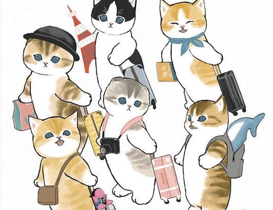 Falling in Love with a Traveling Cat